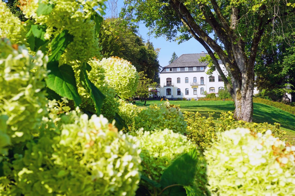 Dorint Parkhotel Siegen Bild 25