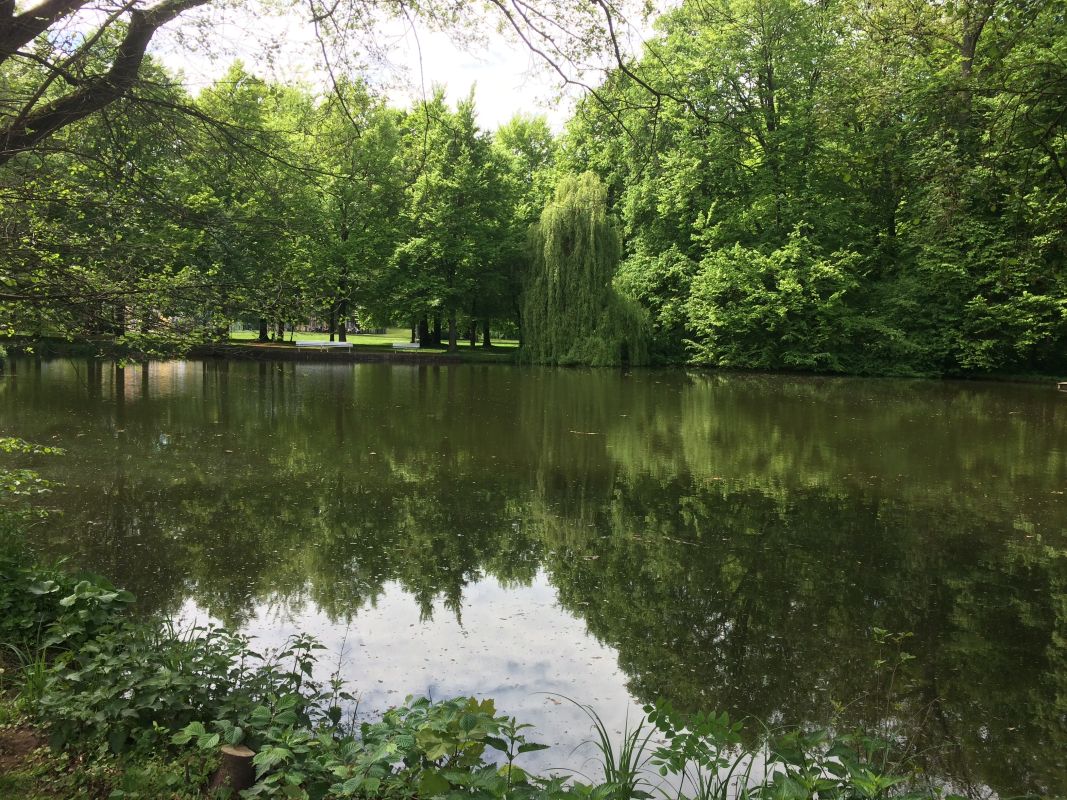 Evangelische Tagungsstätte Hofgeismar Bild 15