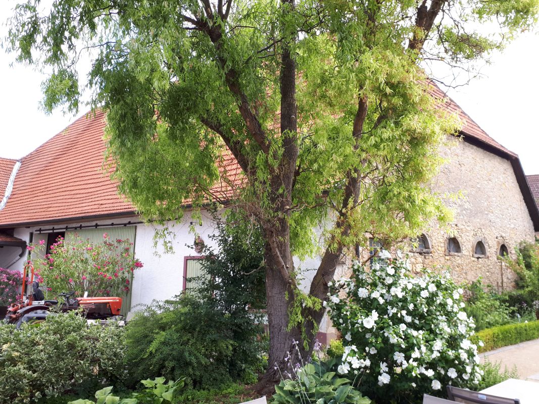 SCHLAFGUT Domhof erleben Bild 11