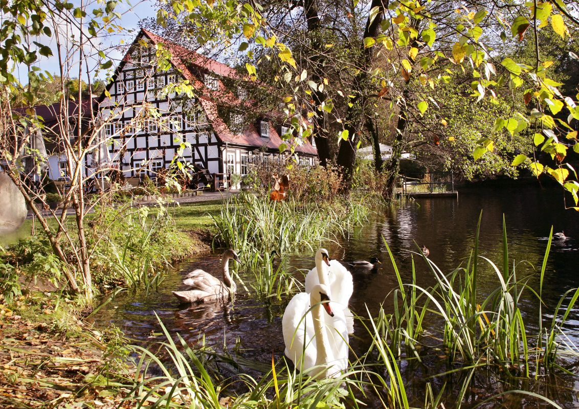 Springbach Mühle Belzig OHG