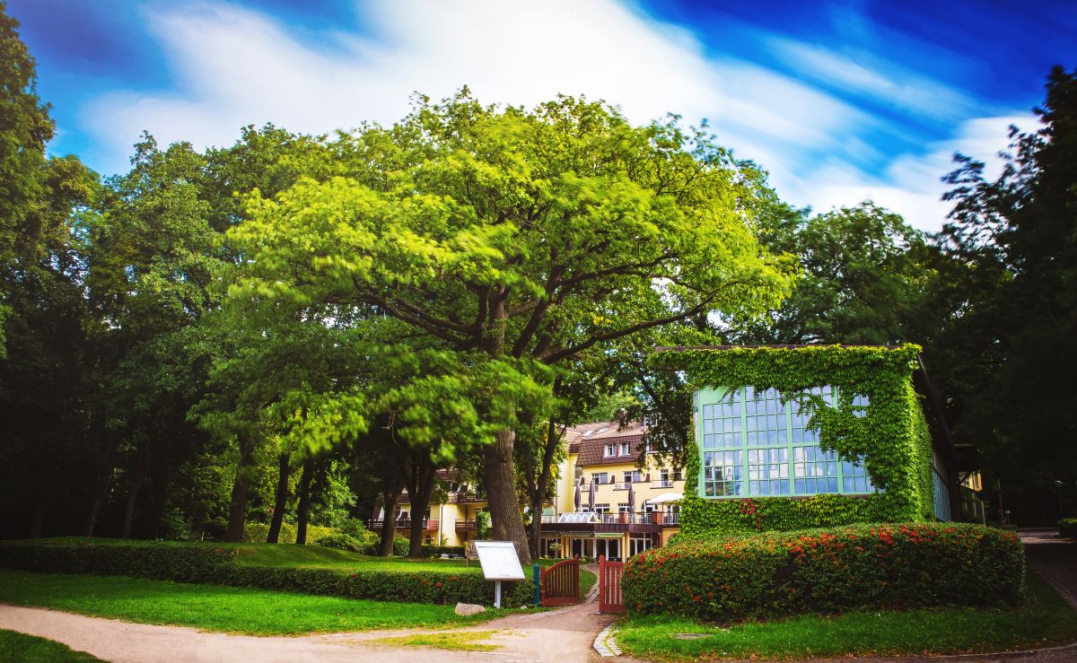 Kurhaus am Inselsee Bild 30