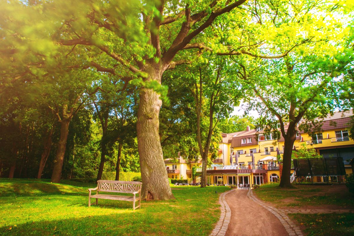 Kurhaus am Inselsee Bild 34