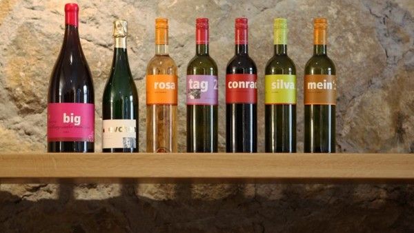 Hotel / Weingut Meintzinger Bild 5