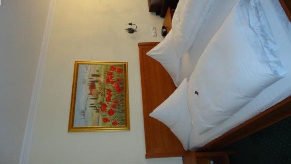Hotel-Gasthof Höttl Bild 10