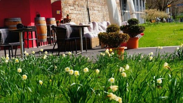 Diehls Hotel Bild 15