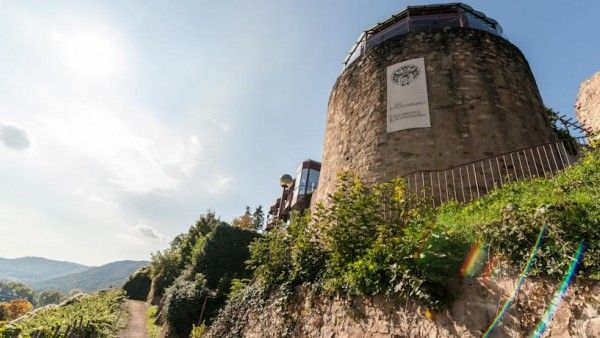 Landhotel Kauzenberg Bild 14