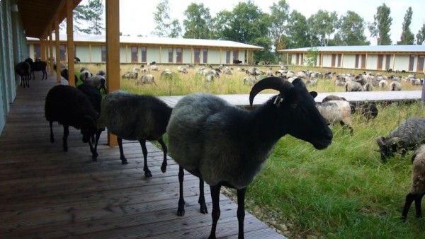 Hotelcamp Reinsehlen Bild 17