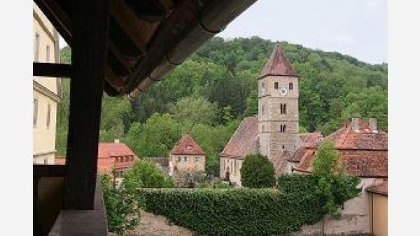 Schwarzes Lamm Bild 14