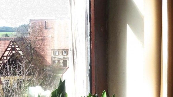 Landgasthof Weisses Lamm Bild 12