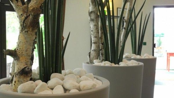 Waldhotel Wandlitz Bild 10