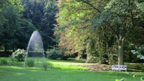 Schlosshotel Ziethen Bild 15
