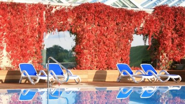 Hotel & SPA Sommerfeld Bild 14