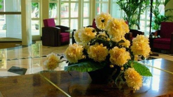 Steigenberger Hotel Bad Homburg Bild 28