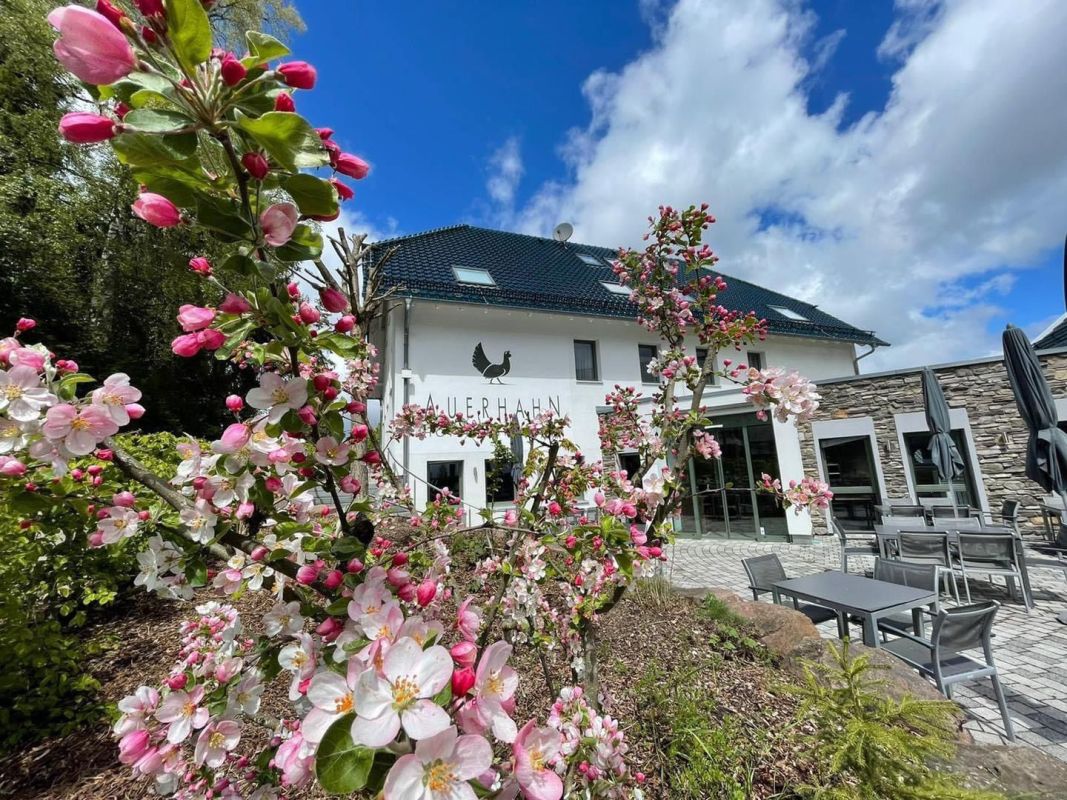 Hotel Restaurant Auerhahn