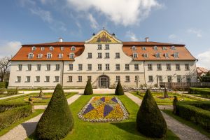 Vorschau 1