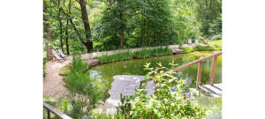 Vorschau 17