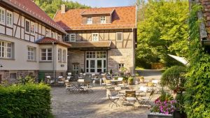 Vorschau 6