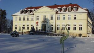 Vorschau 1