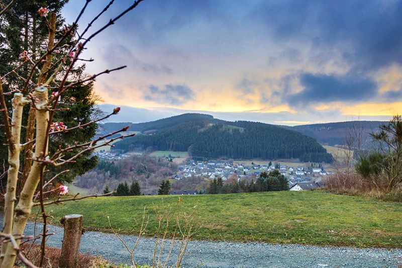 Panorama Hotel Winterberg