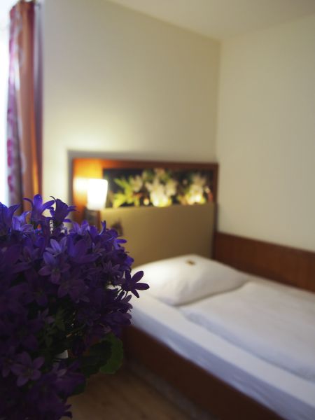 Ringhotel Gasthof Hasen